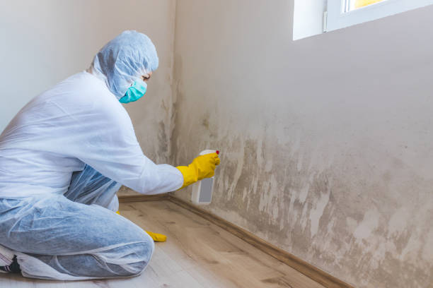 Bathroom Mold Removal assessment in Oak Brook bathroom